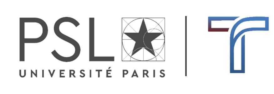 logo transliterrae